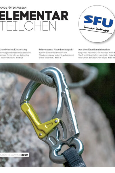 SFU-Elementarteilchen-Sommer-2020